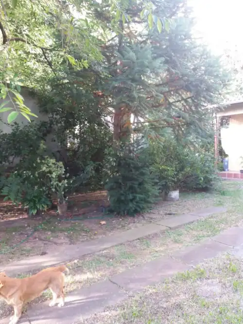 Casa à venda em Vila Rosa, Novo Hamburgo